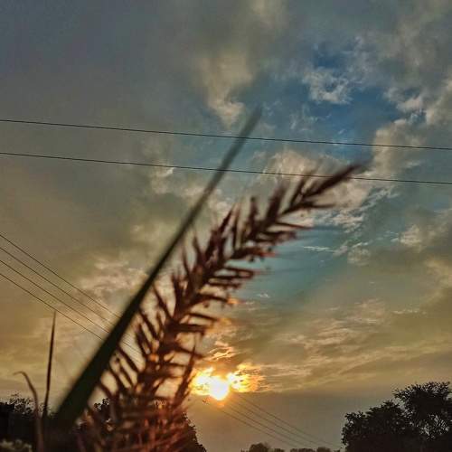 Photo #10574280