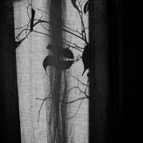 Photo #10574557
