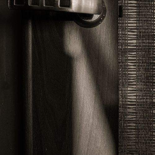 Photo #10574559