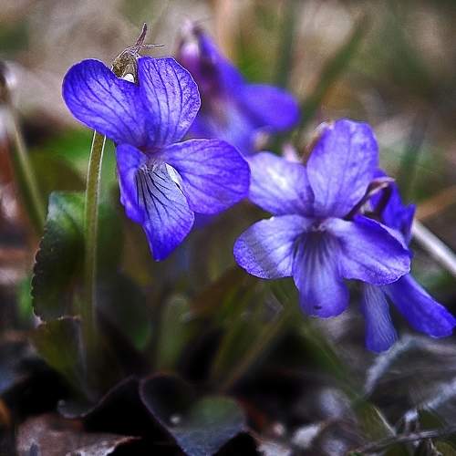 Photo #10574601