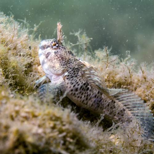 Photo #10574973