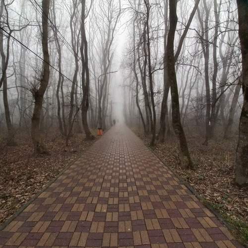 Photo #10575574
