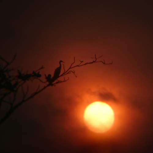 Photo #10575682