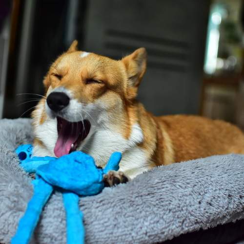 Photo #10575688