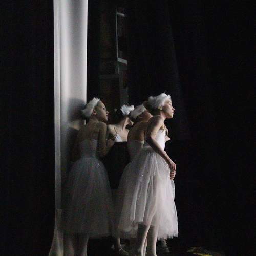 Photo #10575731