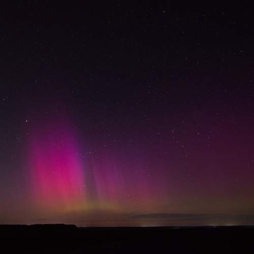 Photo #10575846