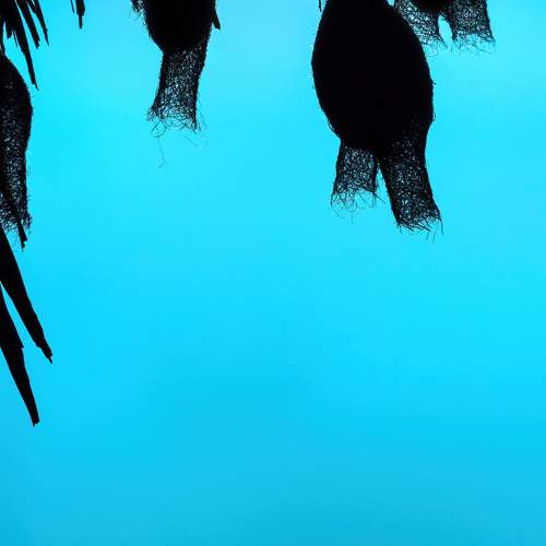 Фотография #10576666