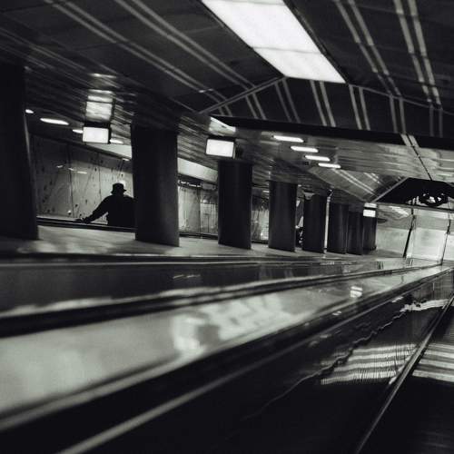 Photo #10576750