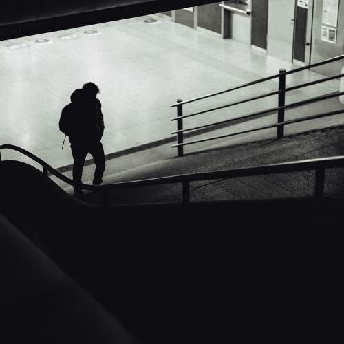 Photo #10576753