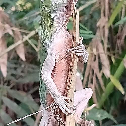 Photo #10577898