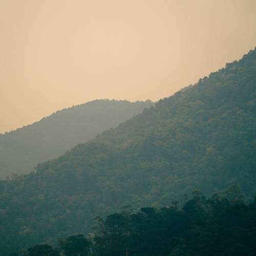 Photo #10578065