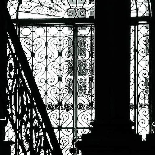 Photo #10578976