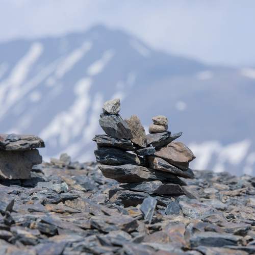 Photo #10579314