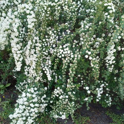 Photo #10579815