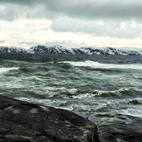 Photo #10580041