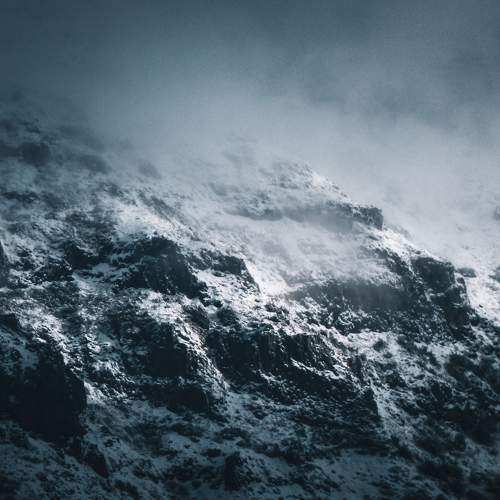 Photo #10580246