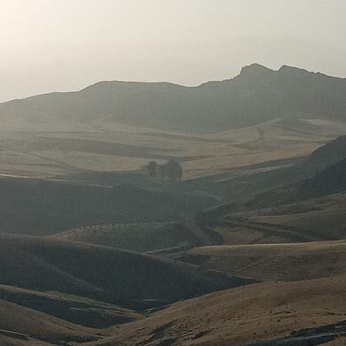 Photo #10580501