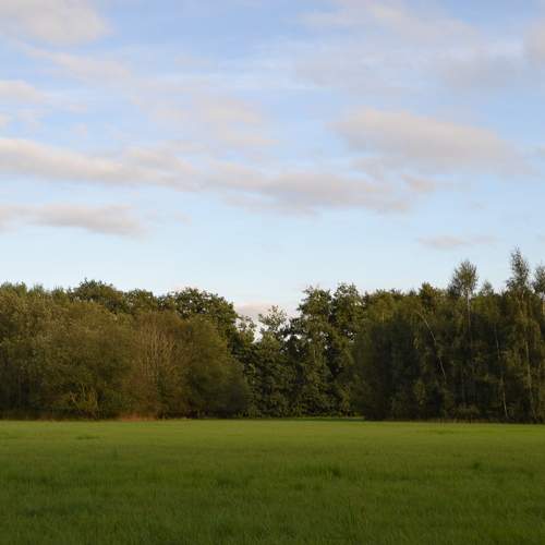 Photo #10580811