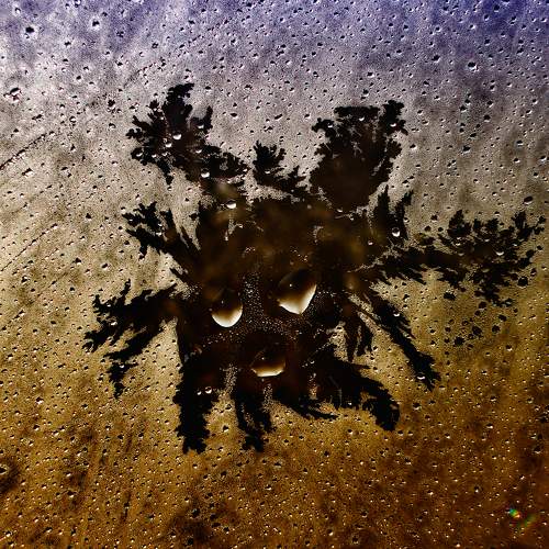 Photo #10580828