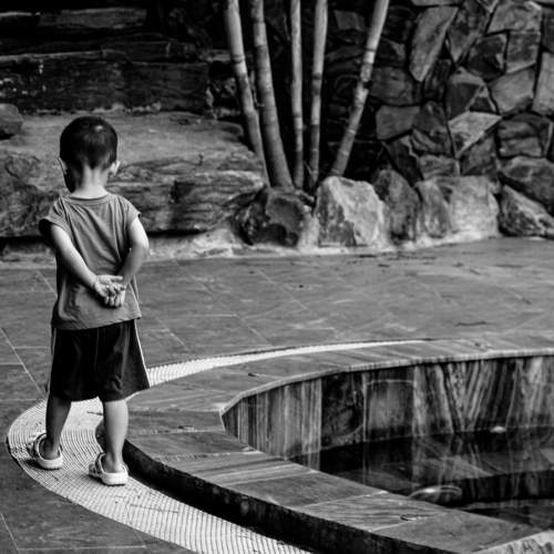 Photo #10581235