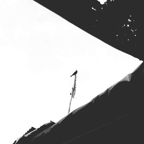 Photo #10581249