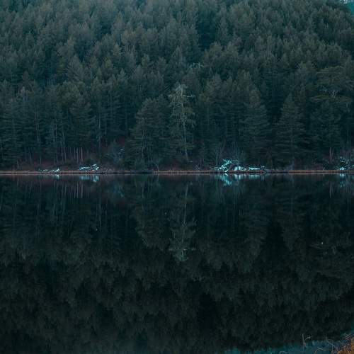Photo #10581454