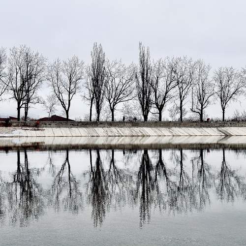 Photo #10581486