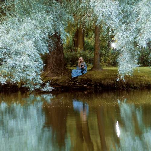 Photo #10581493