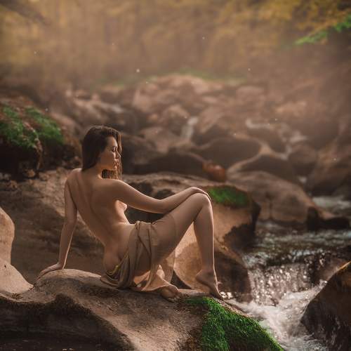 Photo #10581519