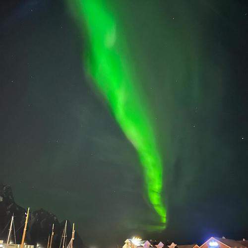 Photo #10581724