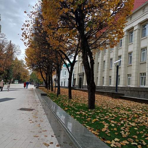 Photo #10581806