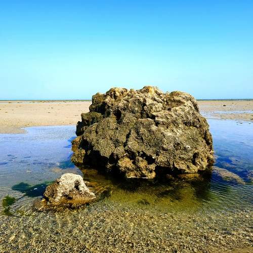 Photo #10581872