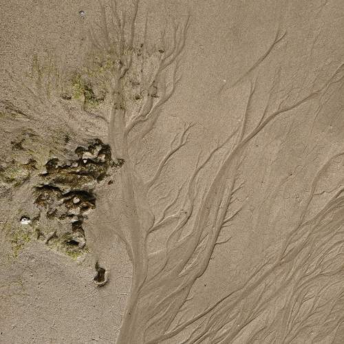Photo #10581969