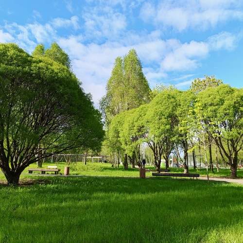 Photo #10582311