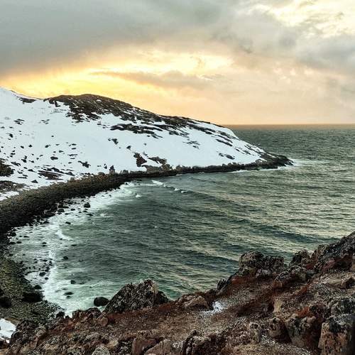 Photo #10582521
