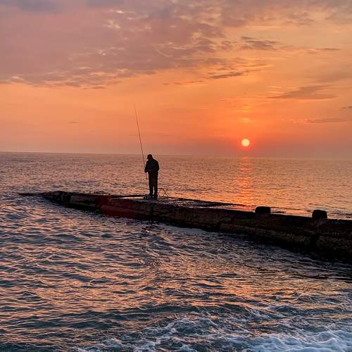 Photo #10582607