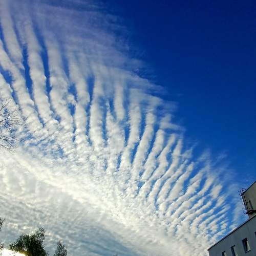 Photo #10582629