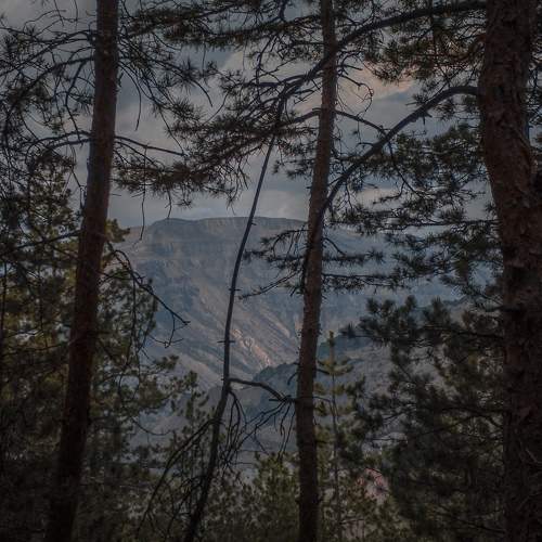 Photo #10582669