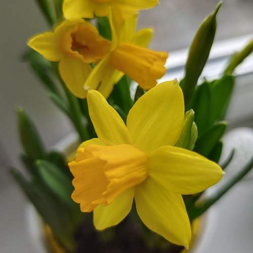 Photo #10582681