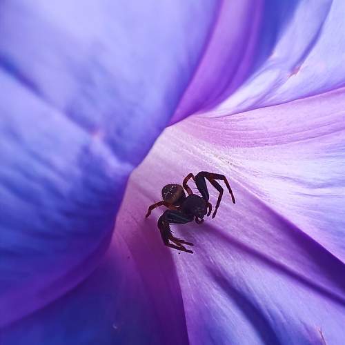Photo #10582720