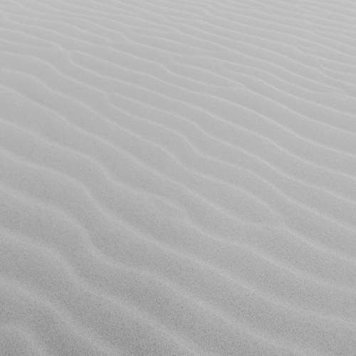 Photo #10582826