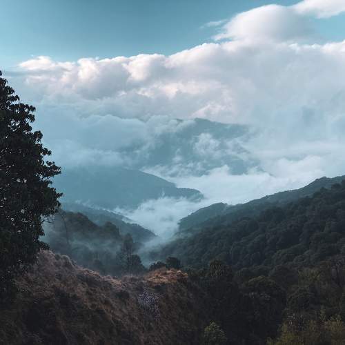 Photo #10583061