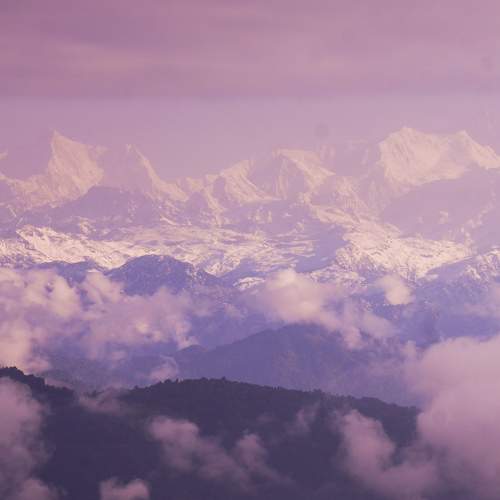 Photo #10583062