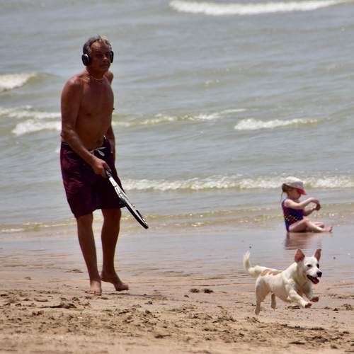 Photo #10583452
