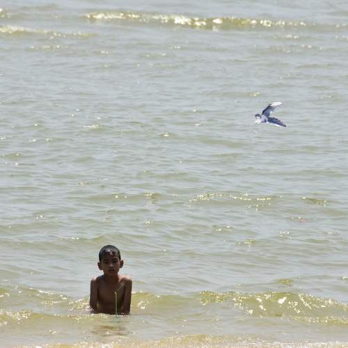 Photo #10583465