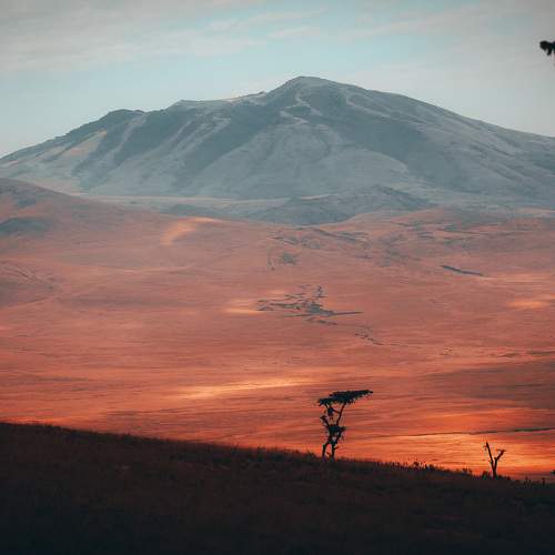 Photo #10583536