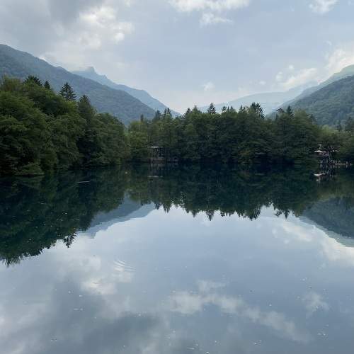 Photo #10583542