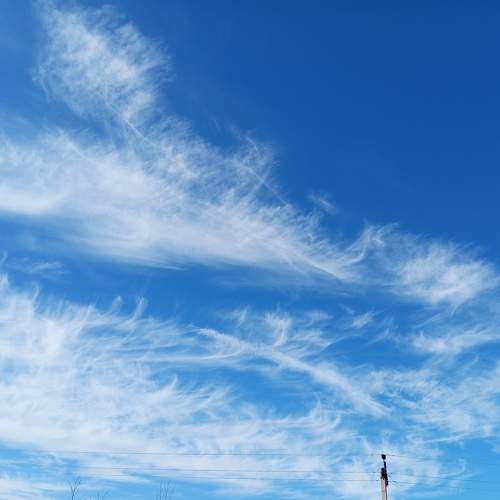 Photo #10584131