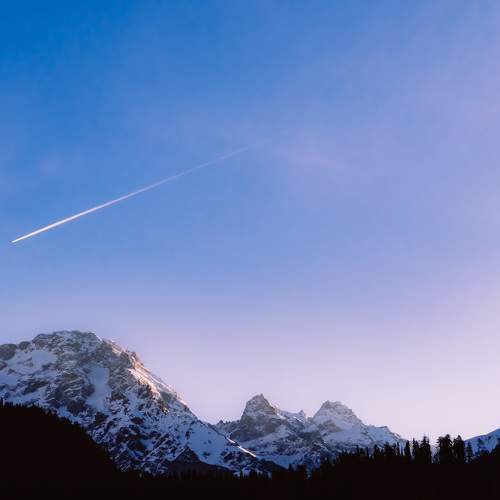 Photo #10584167