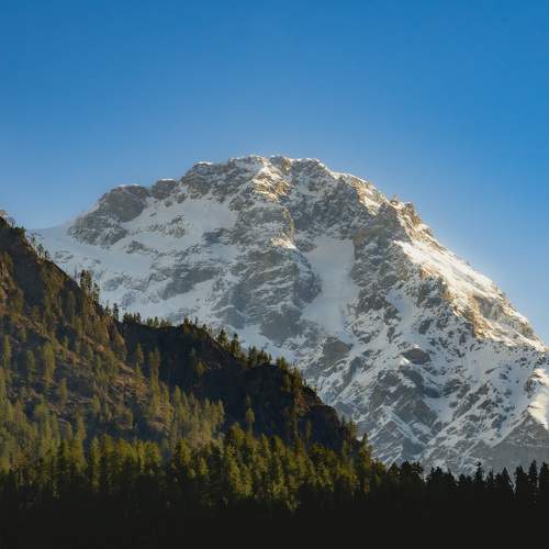 Photo #10584171